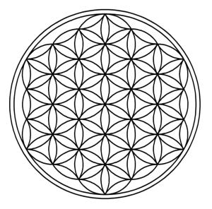 webfol_whws webfol_whws